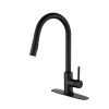 Pull Down Sprayer Kitchen Faucet