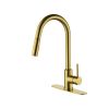 Pull Down Sprayer Kitchen Faucet